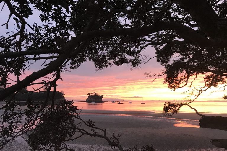 Photo of property in 65 Hebron Road, Waiake, Auckland, 0630