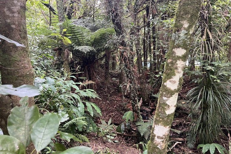 Photo of property in 9 Coates Street, Greymouth, 7805