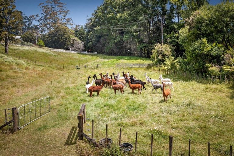 Photo of property in 1414 Pohuehue Road, Warkworth, 0983