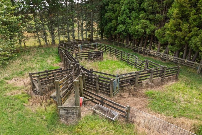 Photo of property in 417 Mclaren Falls Road, Omanawa, Tauranga, 3171