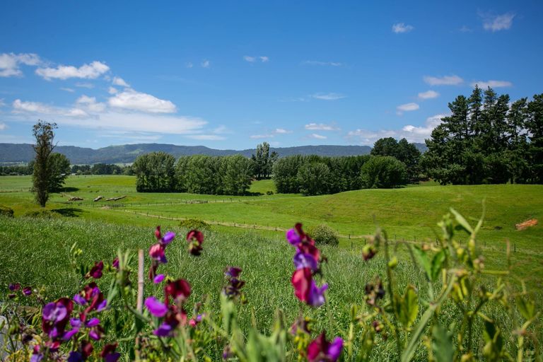 Photo of property in 26a Brown Road, Te Poi, Tirau, 3485