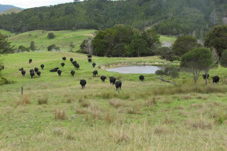 Photo of property in 2821 State Highway 1, Umawera, Okaihau, 0476