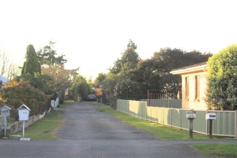 Photo of property in 173 Clarkin Road, Fairfield, Hamilton, 3214