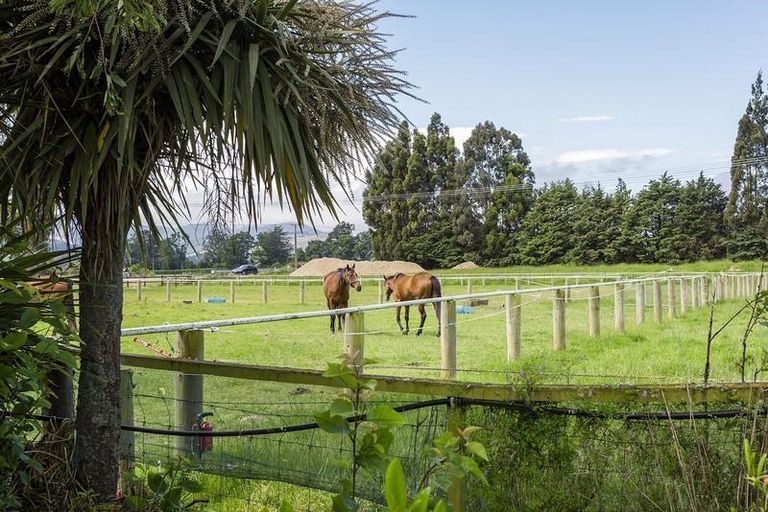 Photo of property in 22 Dukes Road North, Mosgiel, 9092