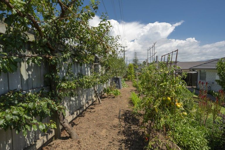 Photo of property in 40 Charlotte Drive, Omokoroa, 3114