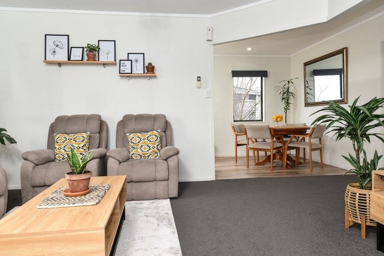 Photo of property in 393 Kahikatea Drive, Dinsdale, Hamilton, 3204