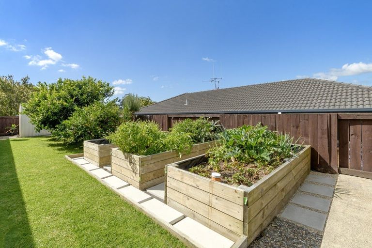 Photo of property in 10 Emmerdale Place, Ohauiti, Tauranga, 3112