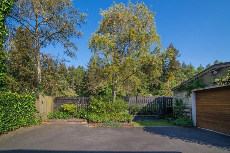 Photo of property in 8 Awatea Terrace, Lynmore, Rotorua, 3010