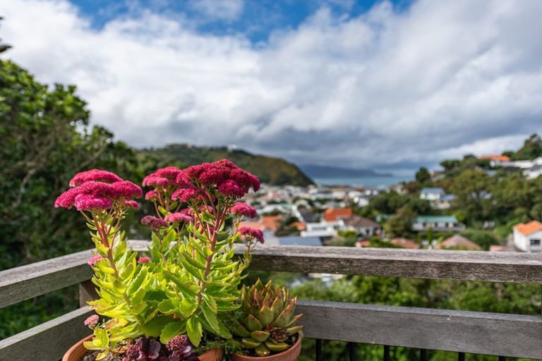 Photo of property in 54a Severn Street, Island Bay, Wellington, 6023