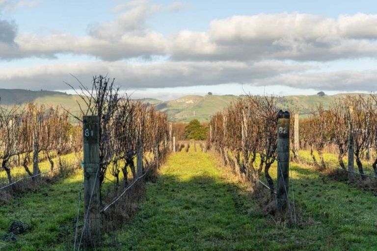 Photo of property in 20 Dakins Road, East Taratahi, Carterton, 5887