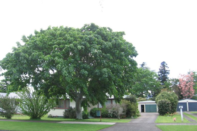 Photo of property in 14 Fitzgerald Avenue, Matamata, 3400