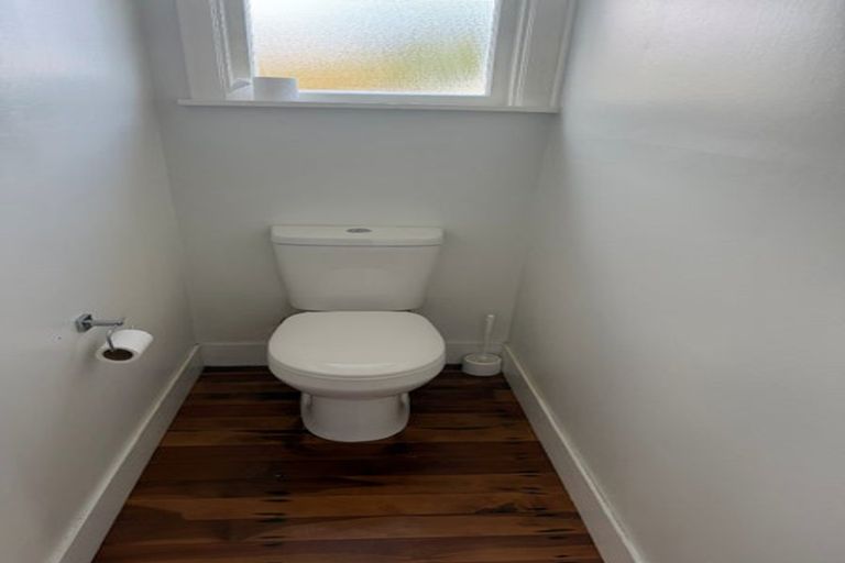 Photo of property in 114 Limbrick Street, Terrace End, Palmerston North, 4410