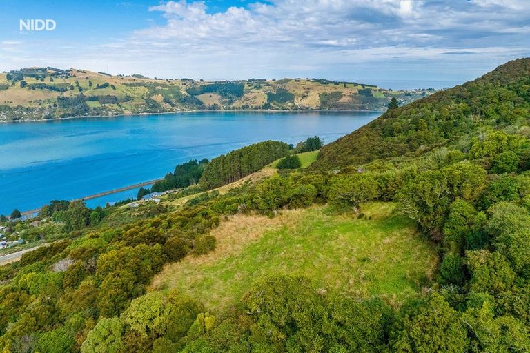 Photo of property in 66 Kakapo Street, Saint Leonards, Dunedin, 9022