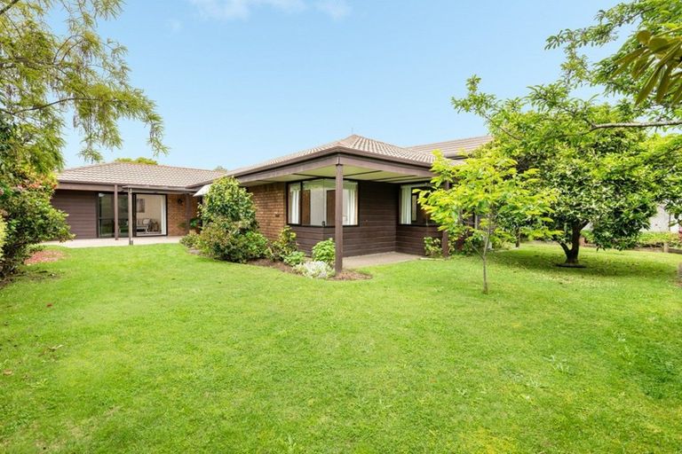 Photo of property in 3 Winchester Terrace, Bethlehem, Tauranga, 3110