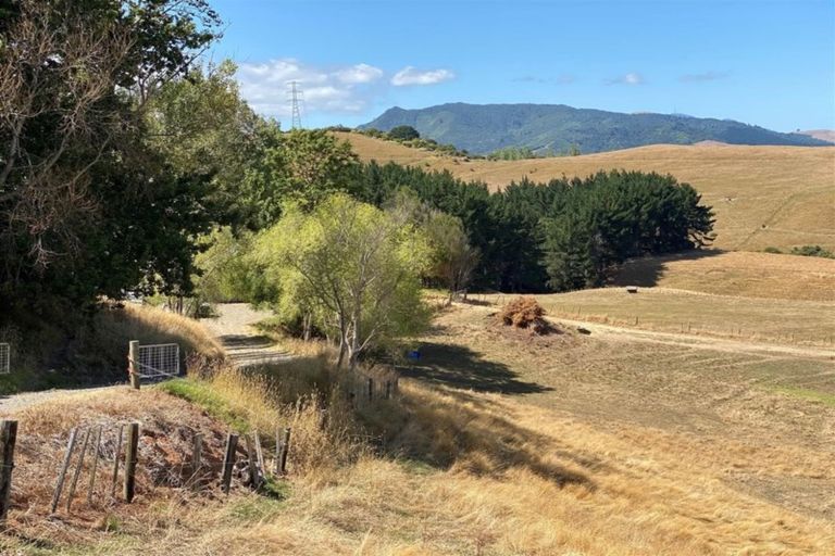 Photo of property in 114 Aorangi Road, Paeroa, 3600