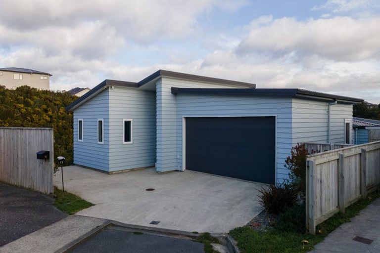 Photo of property in 17 Belize Grove, Grenada Village, Wellington, 6037