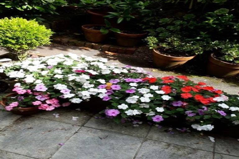 Photo of property in 16a Hadfield Terrace, Kelburn, Wellington, 6012