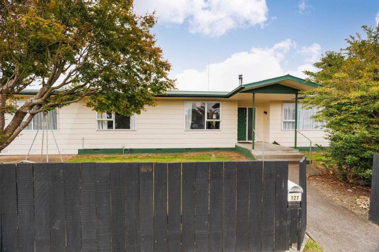 Photo of property in 127 Stanford Street North, Ashhurst, 4810