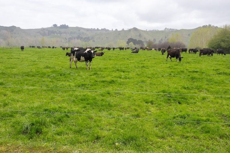 Photo of property in 354 Kumuiti Road, Fordell, Whanganui, 4577