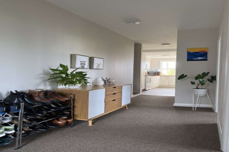 Photo of property in 162 The Ridgeway, Mornington, Wellington, 6021