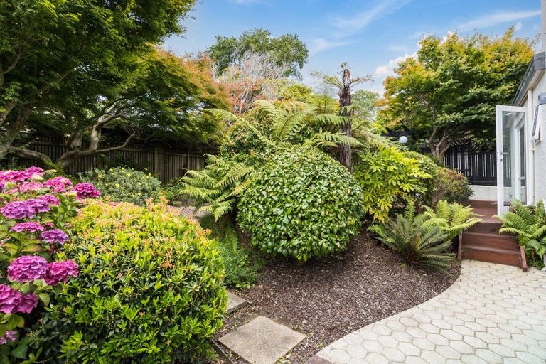 Photo of property in 15 Merlin Street, Roslyn, Dunedin, 9010