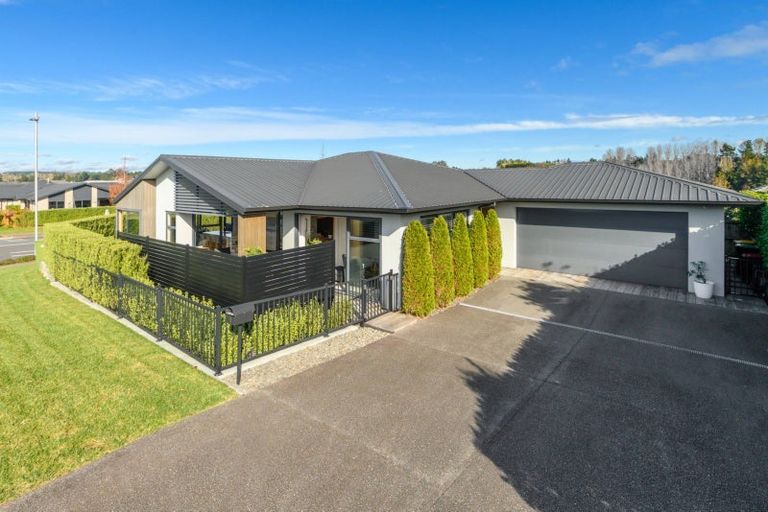 Photo of property in 1 Tuaia Street, Pyes Pa, Tauranga, 3112
