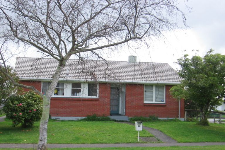 Photo of property in 20 Dampier Avenue, Awapuni, Palmerston North, 4412