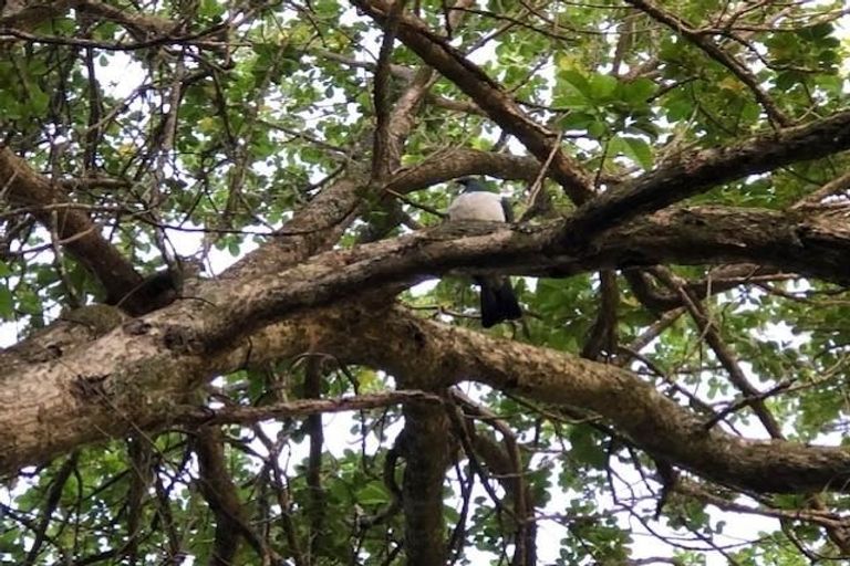 Photo of property in 49e Park Rise, Campbells Bay, Auckland, 0630