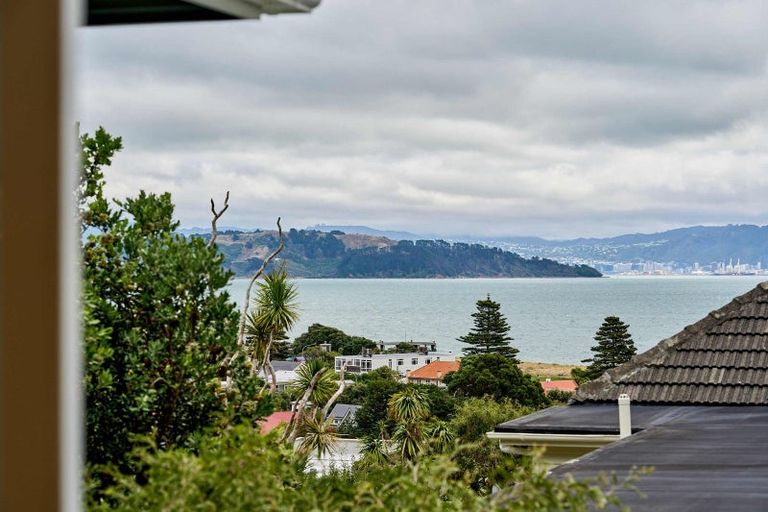 Photo of property in 28 Totara Street, Eastbourne, Lower Hutt, 5013
