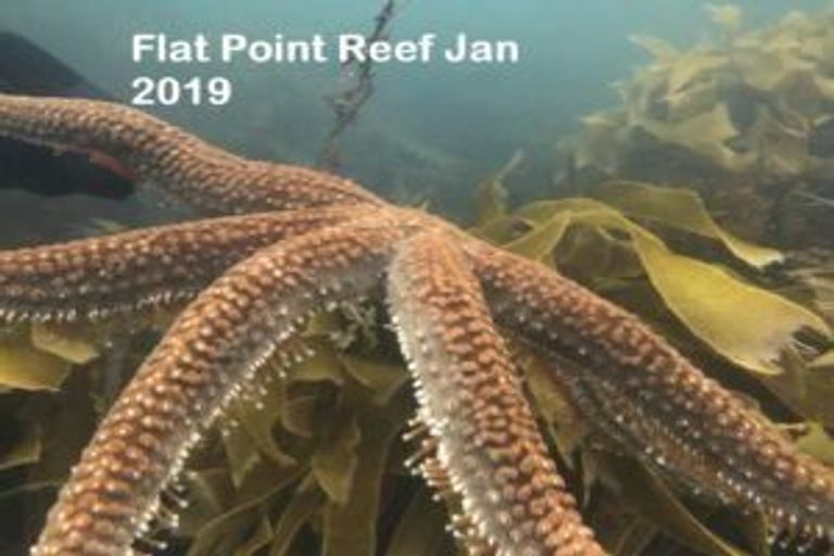 Photo of property in 14 Beach Road, Flat Point, Masterton, 5883