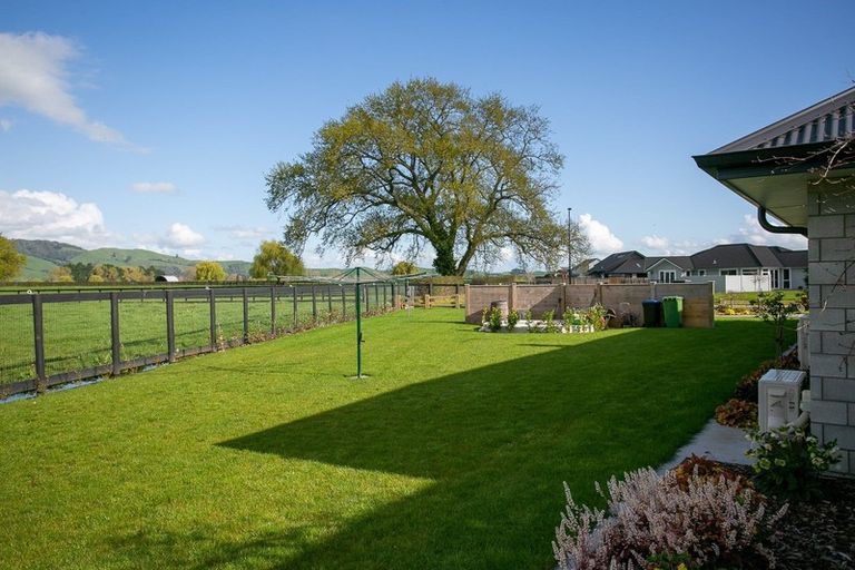 Photo of property in 41 Catalyst Avenue, Leamington, Cambridge, 3432