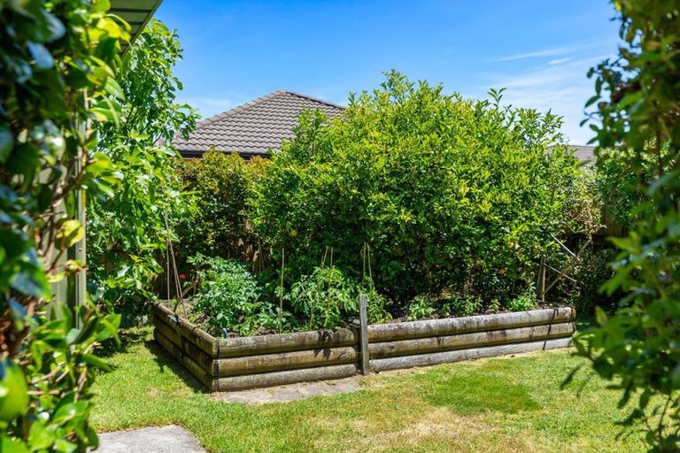 Photo of property in 7 Parkwood Place, Papamoa Beach, Papamoa, 3118