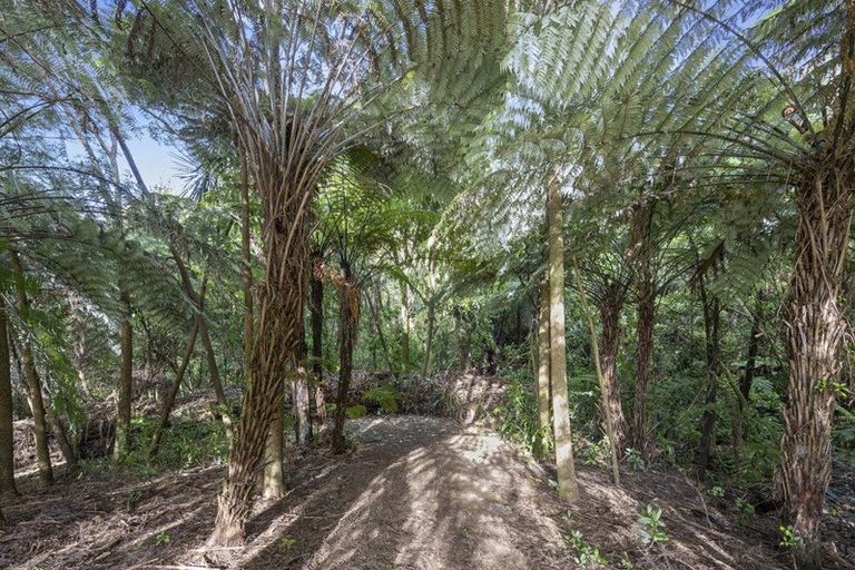 Photo of property in 149k Glengarry Road, Glen Eden, Auckland, 0602