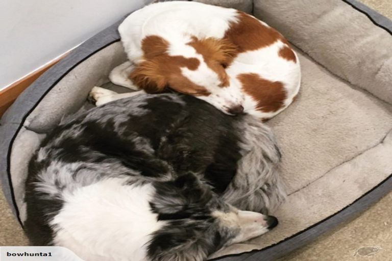 Photo of property in 23 Petane Road, Bay View, Napier, 4104