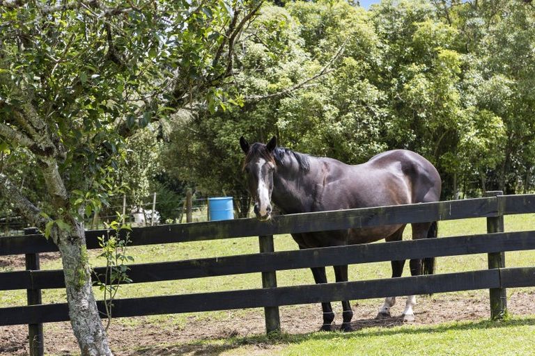 Photo of property in 132 Motu Road, Kumeu, 0891