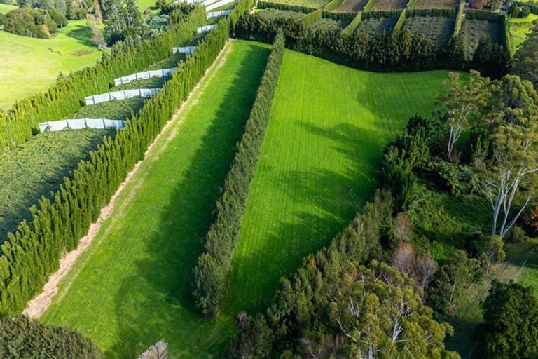 Photo of property in 75a Riddell Road, Kerikeri, 0230