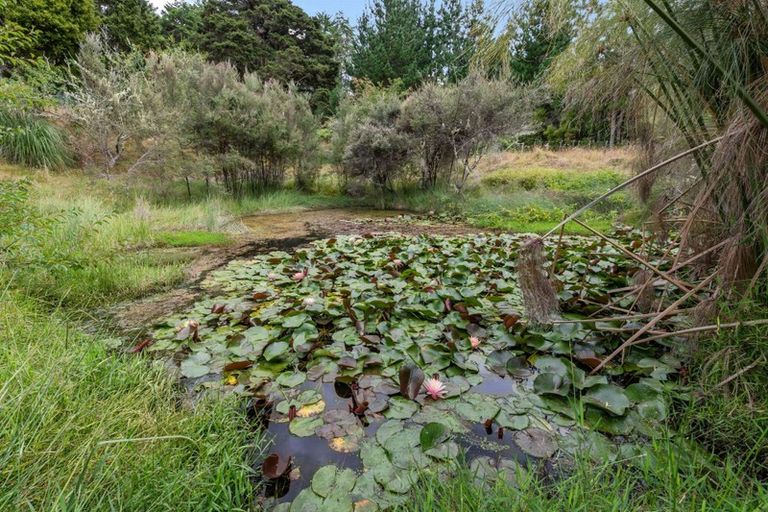 Photo of property in 453 Cemetery Road, Maunu, Whangarei, 0179