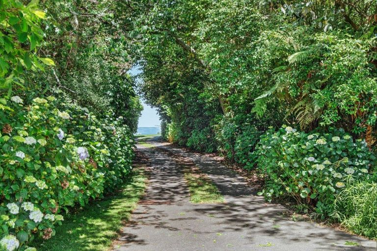 Photo of property in 151a Palmer Mill Road, Wairakei, Taupo, 3384