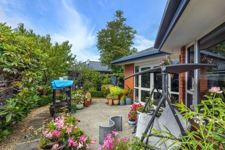 Photo of property in 12c Carvell Street, Blenheim, 7201