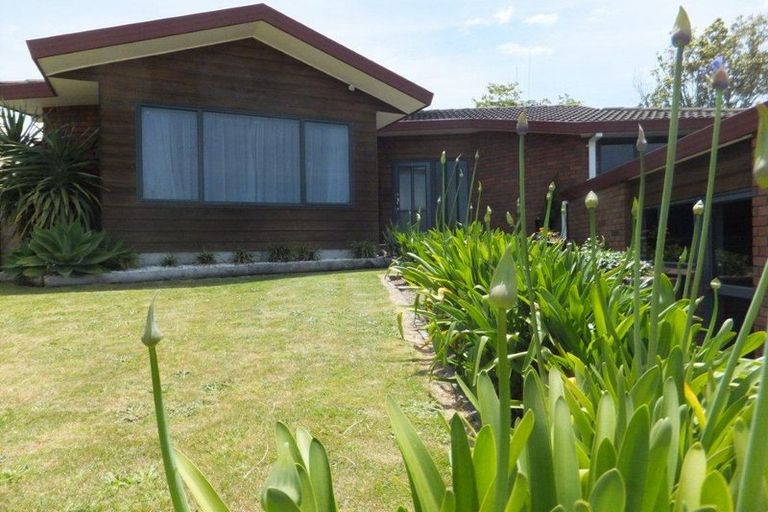 Photo of property in 18 Hinerua Street, Maungatapu, Tauranga, 3112