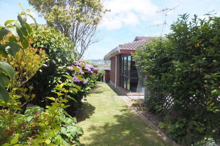 Photo of property in 18 Hinerua Street, Maungatapu, Tauranga, 3112