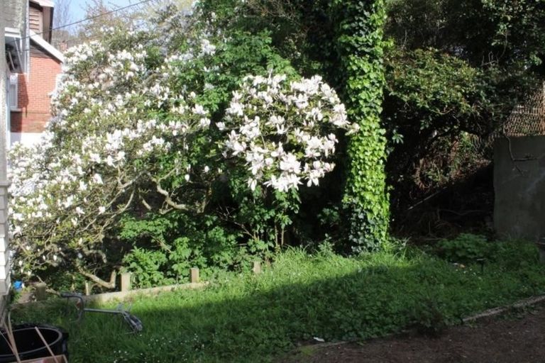 Photo of property in 184 Cargill Street, Dunedin Central, Dunedin, 9016