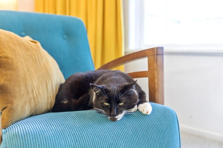 Photo of property in 4/40 Roslyn Terrace, Devonport, Auckland, 0624