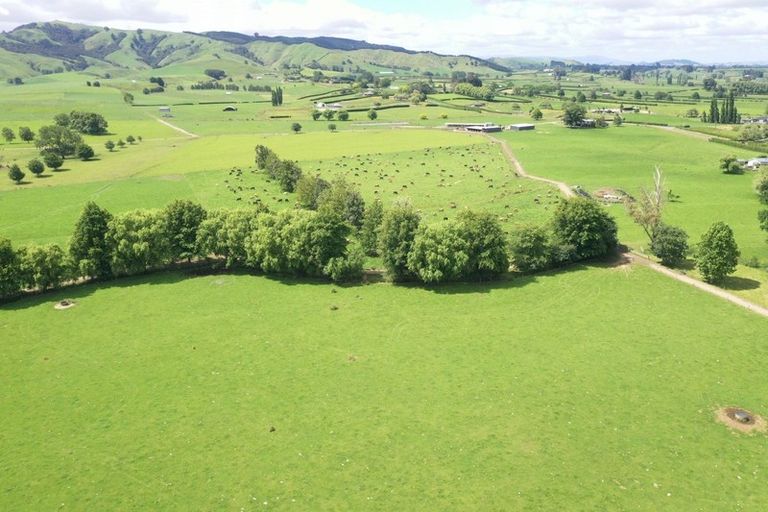 Photo of property in 231 Grice Road, Rotoorangi, Cambridge, 3495