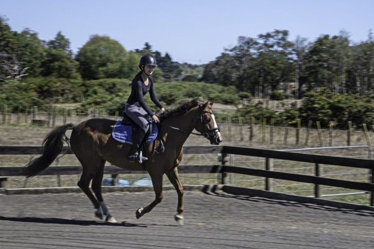 Photo of property in 345 Mill Road, Takanini, Manurewa, 2576