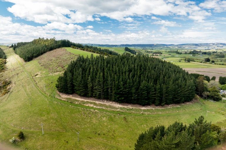 Photo of property in 292 Waipori Falls Road, Berwick, Outram, 9073