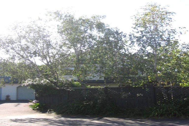 Photo of property in 113 Maungarei Road, Remuera, Auckland, 1050