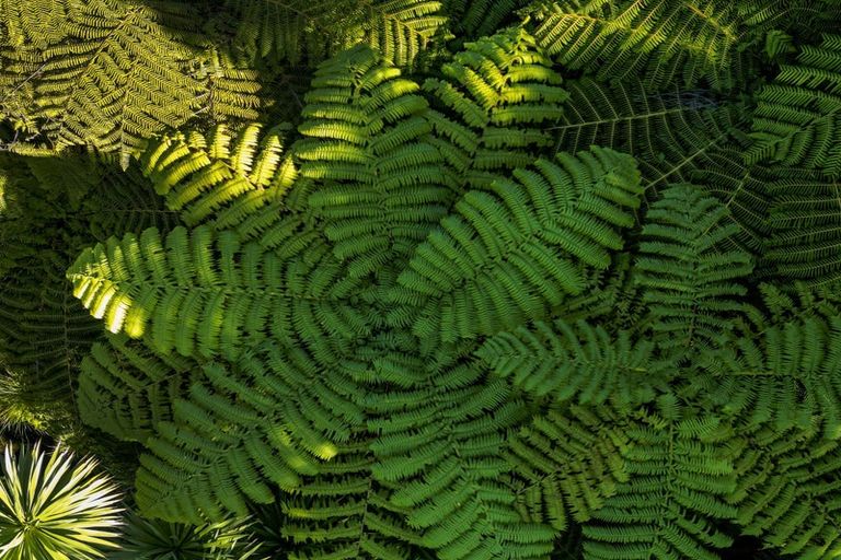 Photo of property in 29d Greenhithe Road, Greenhithe, Auckland, 0632