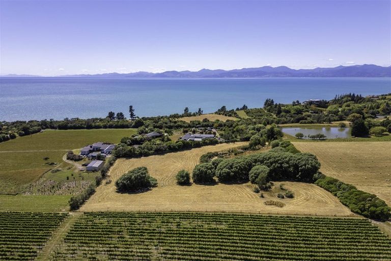 Photo of property in 50 Cliff Road, Tasman, Upper Moutere, 7173