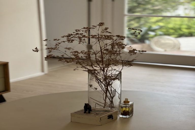 Photo of property in 65 Lucerne Road, Remuera, Auckland, 1050